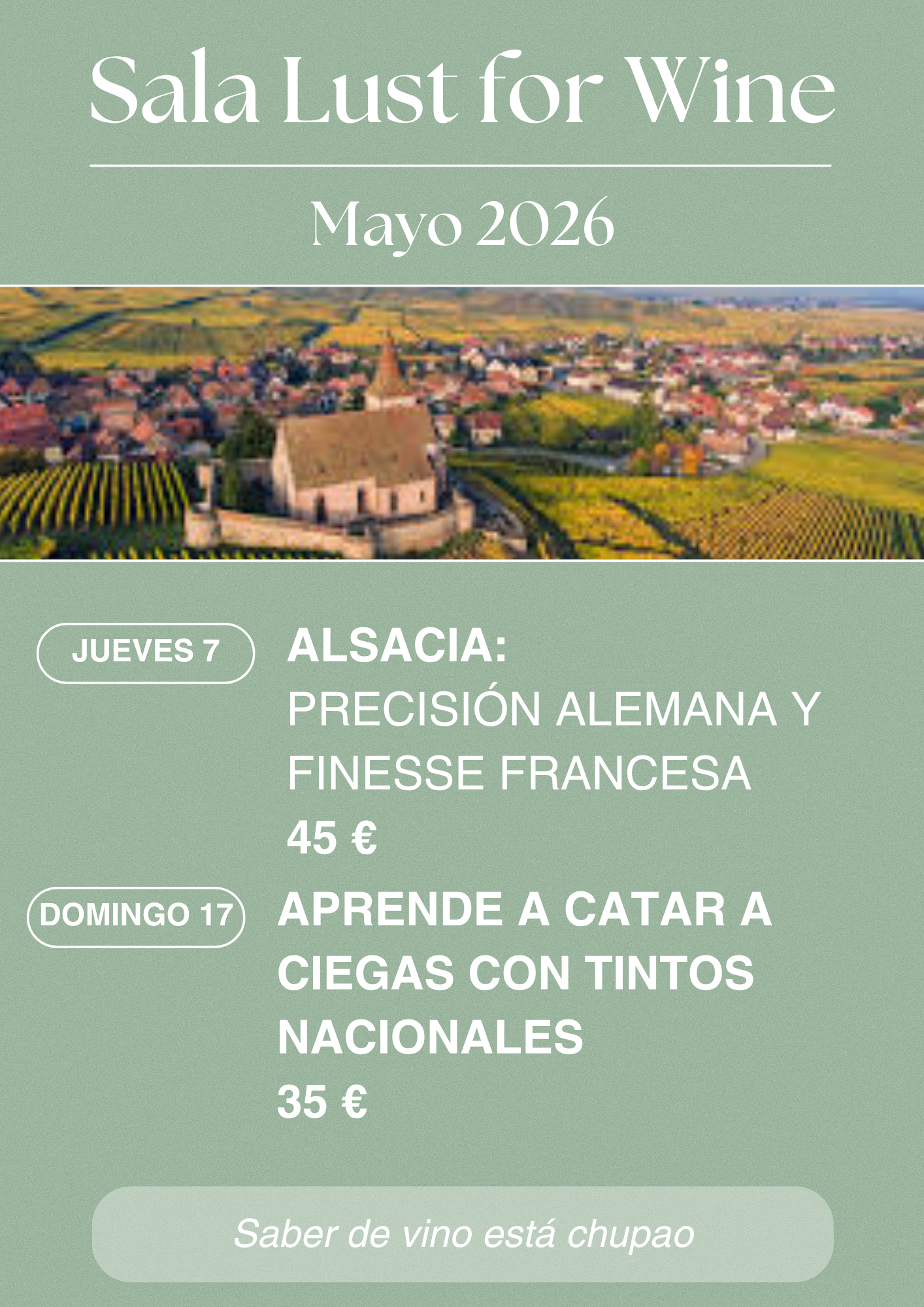 Aprende a catar a ciegas con Tintos nacionales en Sala Lust for Wine (Plaza Alonso Martínez. Edificio Monasterio 7A Oficina 57), Burgos