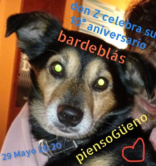 Zetuning party con calostroDj