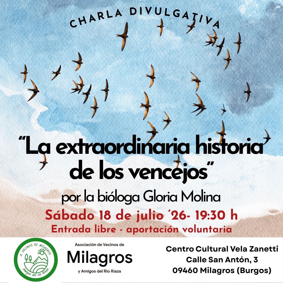 "La extraordinaria historia de los vencejos" en Centro Cultural Vela Zanetti. C/ San Antón nº 3,, Milagros, Burgos
