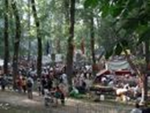 Día de las Peñas y del Burgalés ausente