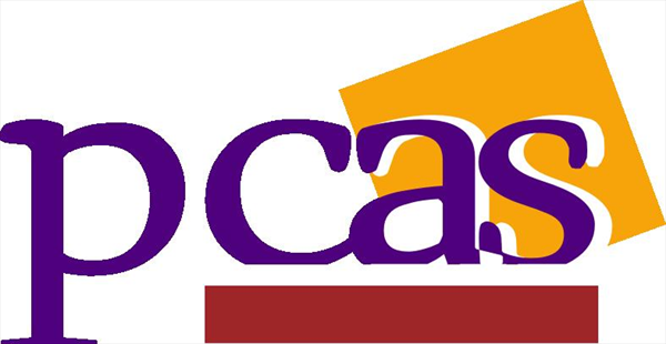 Partido Castellano (PCAS)